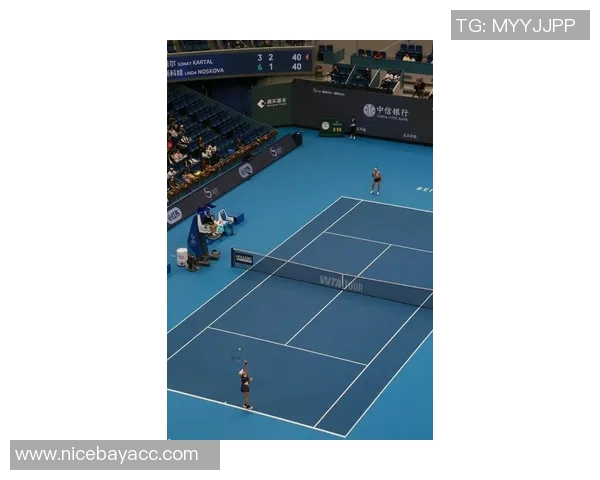 北京网球队在钻石联赛中的技术表现分析与未来展望