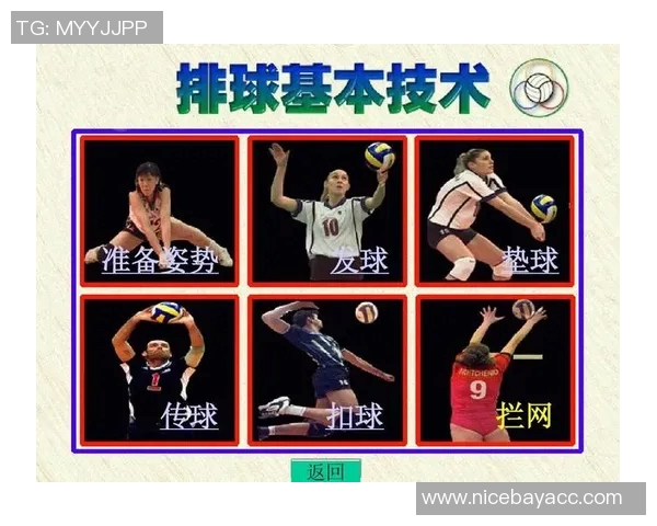 南京排球队反击战术解析与深度剖析排球竞技的魅力与挑战