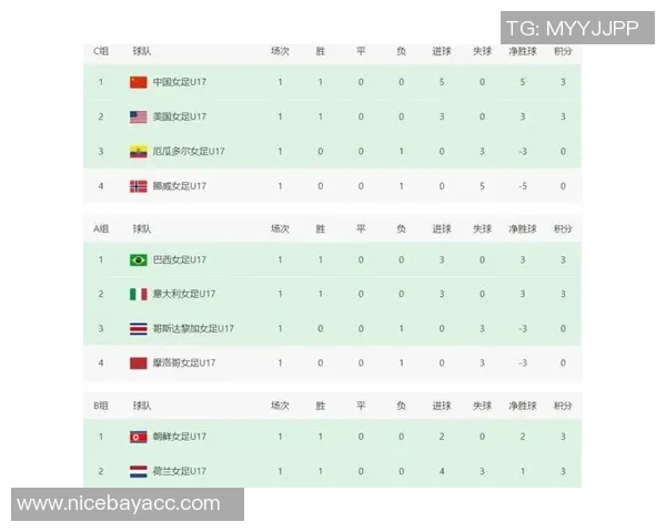 成都足球队在世界杯预选赛中以96分高居榜首展现强劲实力